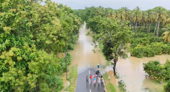 273,000 Paddy Lands Destroyed Due To Ditwah